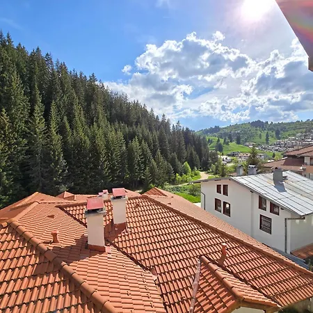 5 - планински перли * Stoykite