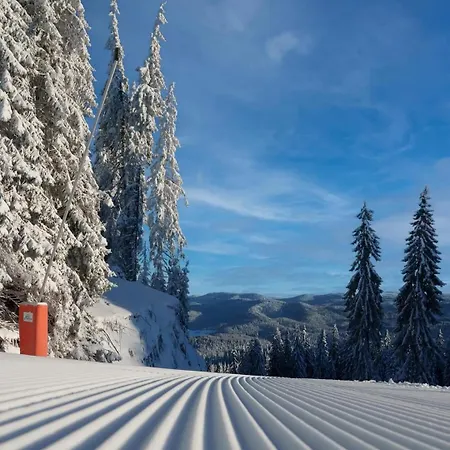 5 - планински перли Holiday home Stoykite