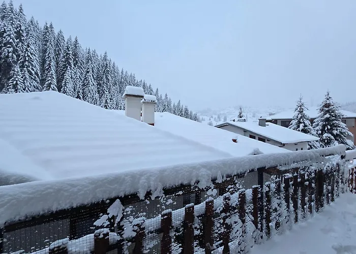 5 - планински перли Stoykite